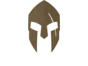 Dynamic Shift logo